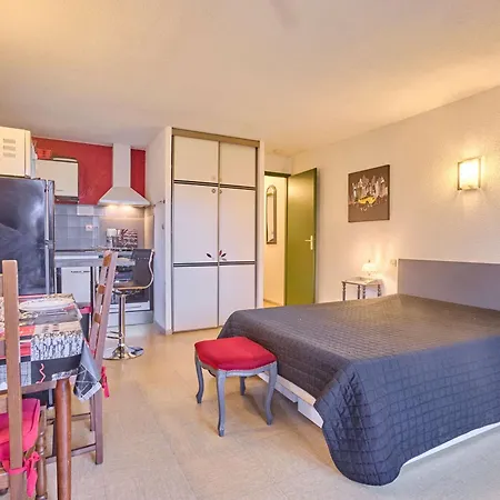 T1 Bis Sud Avec Balcon, Wifi&animaux Admis - Fr-1-841-22 *