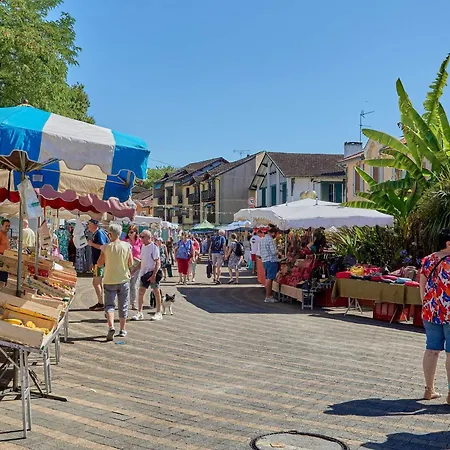 Apartment Moderne Pour 2 Pers Avec Wifi Et Animaux Admis - Fr-1-841-22 Barbotan-les-Thermes