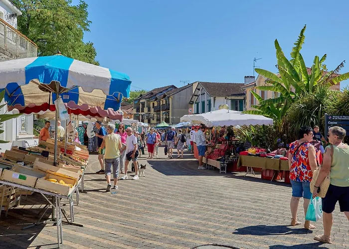 Apartment Moderne Pour 2 Pers Avec Wifi Et Animaux Admis - Fr-1-841-22 Barbotan-les-Thermes